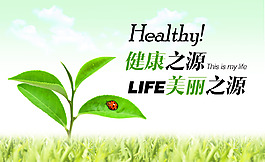 綠色食品首頁海報(bào)設(shè)計(jì)PSD模板