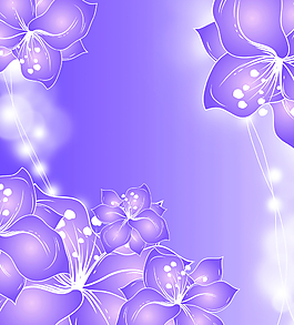 紫色花朵圖片