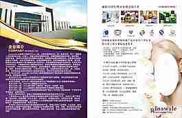 瑞倪維兒傳單美容畫冊紫色背景簡潔大氣標志