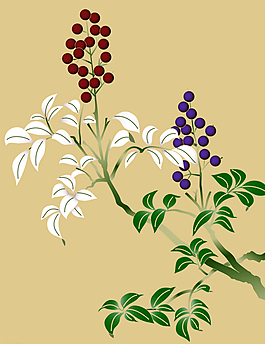 花紋背景圖片