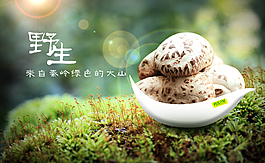 野生花菇海報(bào)圖片