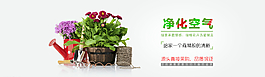 淘宝苗木轮播图图片