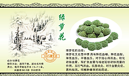 绿萝花标签图片