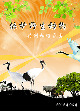 保護動物