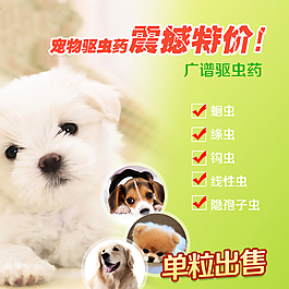 淘寶寵物用品主圖