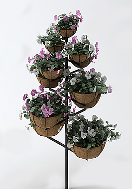 花架圖片