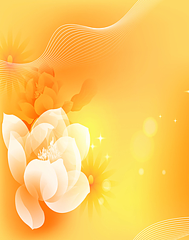花朵移門圖片