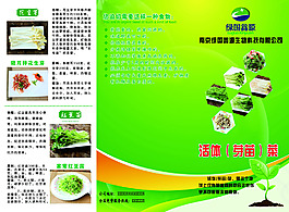 綠國鑫源三折頁