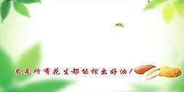 花生背景素材