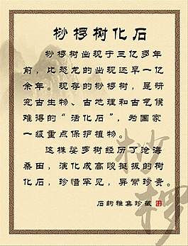 桫欏樹化石