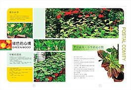 盆栽海報