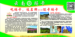 玛卡图片