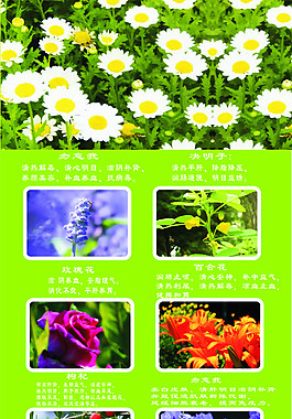花茶