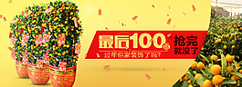 海报设计图片