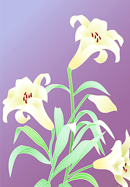數(shù)碼印花圖片