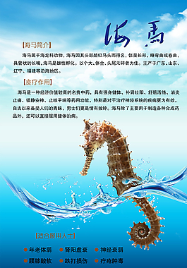海马招贴图片