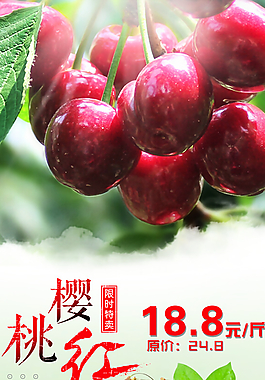 櫻桃海報(bào)圖片