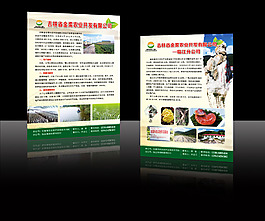 土特產(chǎn)
