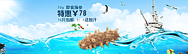 海參的大圖設計圖片