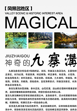 旅行社展架圖片