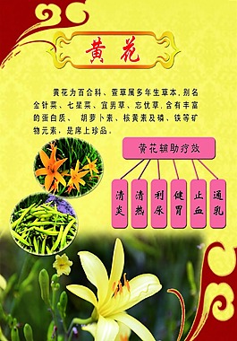 黃花