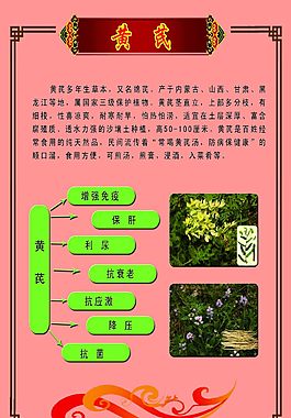 黄芪