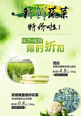 蔬菜特價促銷活動海報圖片