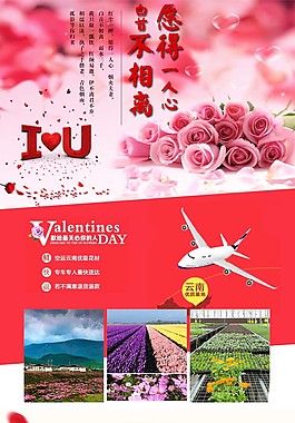 花淘寶設(shè)計(jì)