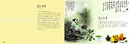 茶畫冊