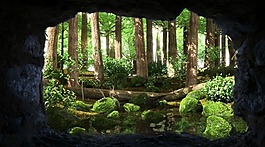 洞外溪流 视频素材
