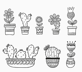 仙人掌植物