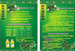 油茶籽油DM單圖片