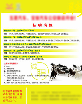 招聘圖片