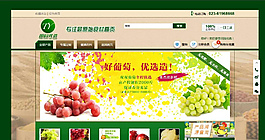 葡萄banner圖片