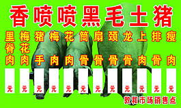 豬