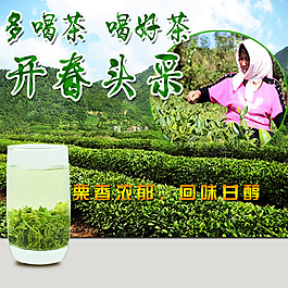好茶 開春  回味甘醇  田園   綠色