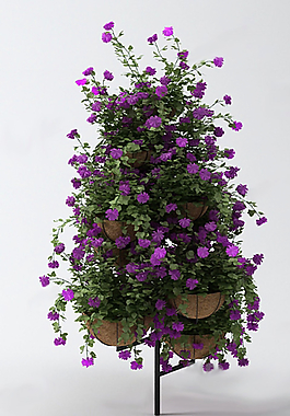 花架圖片
