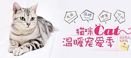 貓咪寵物節