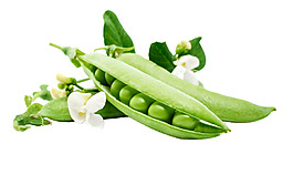 豌豆莢蔬菜綠色蔬菜