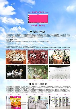 易拉寶設(shè)計