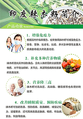印度辣木籽簡介圖片