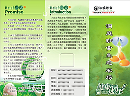 雞蛋圖片