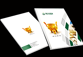 畫冊(cè)封面設(shè)計(jì)圖片