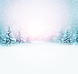 雪天景色