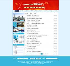 企業(yè)網(wǎng)站