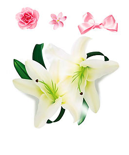 花朵素材