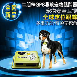 宠物用品图片