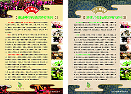 養(yǎng)發(fā)護發(fā)展板