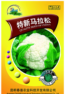菜花包装