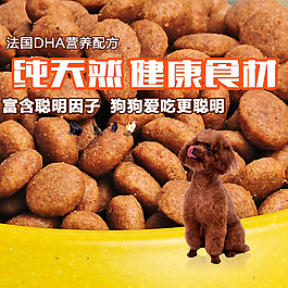 狗糧主圖
